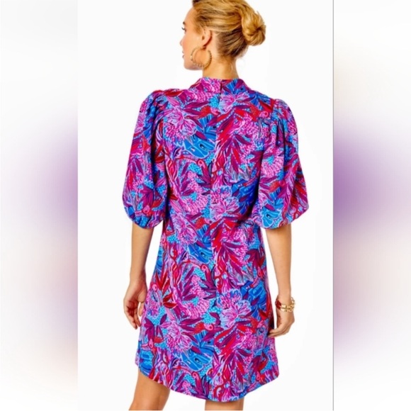 NEW Lilly Pulitzer Dress - Picture 4 of 4